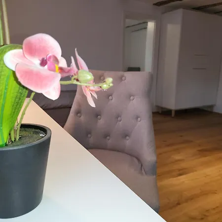 Kostera 1 Og Babenhausen (Hessen)