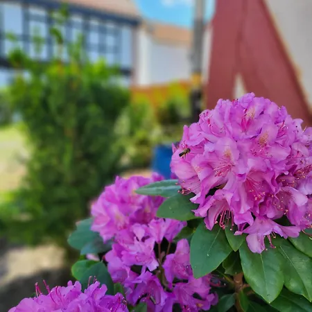 Kostera 1 Og Appartement *